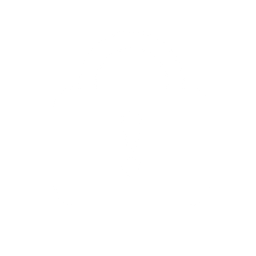 Icon - Lock